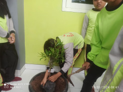 Hijaukan Sekolah, SDIT Al-Imam Lakukan Penanaman Pohon